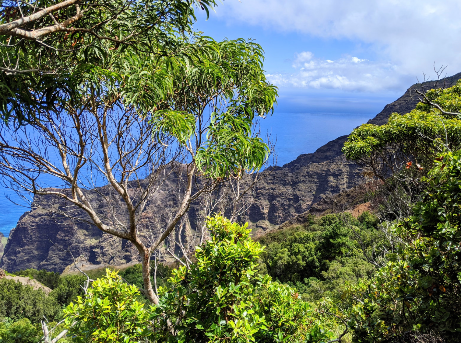 Kauai (The Garden Isle)