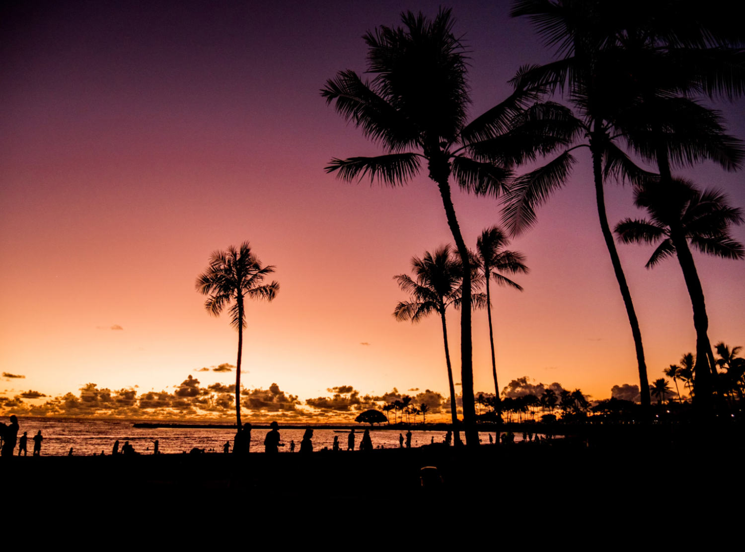 Dining In Waikiki