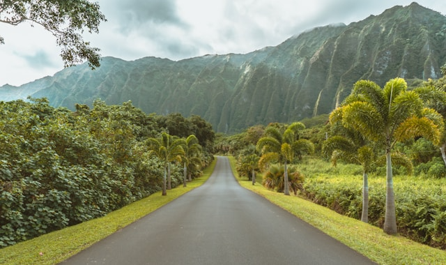 Oahu Road Trip